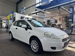 Weiß Gebraucht 2009 Fiat Punto Kleinwagen | 1.899 € (Fairer Preis)