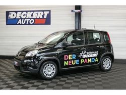 Cinema schwarz) (schwarz Neu 2024 Fiat Panda Kleinwagen | 14.490 € (Fairer Preis)