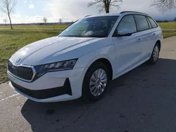 Moonweiß metallic Neu 2025 Skoda Octavia Essence Kombi | 30.079 € (Superpreis)