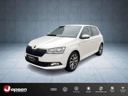 Weiß Gebraucht 2021 Skoda Fabia Clever Kleinwagen | 13.770 € (Guter Preis)