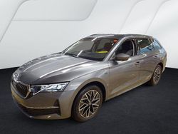 Grau Gebraucht 2025 Skoda Octavia Tour Kombi | 32.220 € (Fairer Preis)