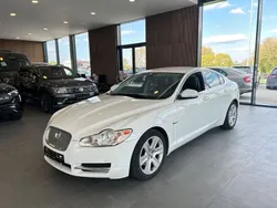 Weiß Gebraucht 2011 Jaguar XF Limousine | 7.990 € (Fairer Preis)