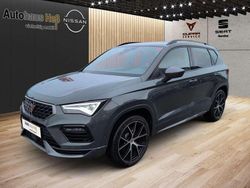 Wurzelgrün Gebraucht 2025 Cupra Ateca VZ SUV | 39.990 € (Teuer)