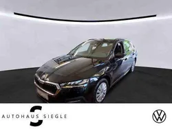 Schwarzmagic Gebraucht 2020 Skoda Octavia Ambition Kombi | 19.730 € (Fairer Preis)
