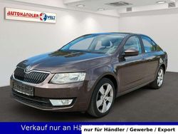 Braun Gebraucht 2013 Skoda Octavia Ambition Limousine | 6.899 € (Superpreis)