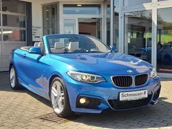 Blau Gebraucht 2015 BMW 228 M Sport Cabrio | 24.777 € (Teuer)
