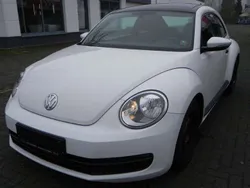 VW Beetle