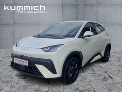 Weiß Neu 2025 BYD Dolphin Surf Boost Kleinwagen | 24.390 € (Etwas zu teuer)