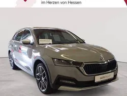 Grau Gebraucht 2021 Skoda Octavia Kombi | 24.089 € (Guter Preis)