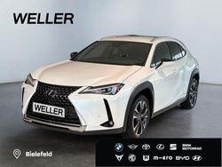 Andere Gebraucht 2021 Lexus UX SUV | 24.490 €