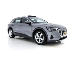 Grau Gebraucht 2019 Audi e-tron Advanced SUV | 25.445 € (Guter Preis)