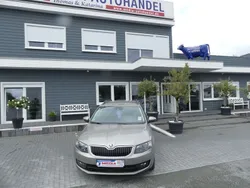 Beige Gebraucht 2017 Skoda Octavia Joy Kombi | 17.000 € (Etwas zu teuer)
