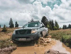 Grau Gebraucht 2005 Nissan Navara Abholung | 17.000 €