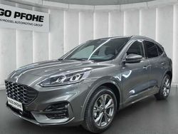 Grau Gebraucht 2024 Ford Kuga ST-Line X SUV | 30.750 € (Etwas zu teuer)