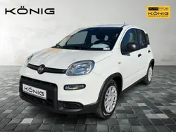 Weiß Gebraucht 2025 Fiat Panda Kleinwagen | 15.389 € (Fairer Preis)
