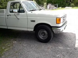 Weiß Gebraucht 1989 Ford F250 Abholung | 15.250 €