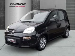 Schwarz Neu 2024 Fiat Panda Kleinwagen | 13.990 €