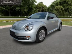 VW Beetle