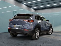 Grau Gebraucht 2019 Mazda CX-30 Selection SUV | 23.180 € (Etwas zu teuer)