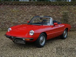 Rot Gebraucht 1982 Alfa Romeo Spider Veloce Cabrio | 26.750 €