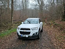 Weiß Gebraucht 2013 Chevrolet Captiva LT SUV | 6.350 € (Fairer Preis)