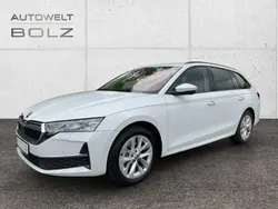 Weiss Gebraucht 2024 Skoda Octavia Selection Kombi | 31.990 € (Fairer Preis)
