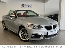 Silber Gebraucht 2015 BMW 228 M Sport Cabrio | 14.399 € (Guter Preis)
