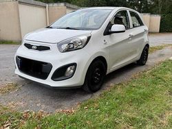 Weiß Gebraucht 2013 Kia Picanto Kleinwagen | 4.600 € (Fairer Preis)