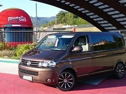 Braun Gebraucht 2011 VW T5 Van | 21.200 € (Teuer)