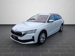 Moonweiss metallic Gebraucht 2025 Skoda Octavia Selection Limousine | 28.900 € (Fairer Preis)