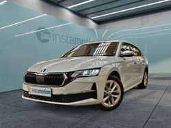 Weiß Gebraucht 2024 Skoda Octavia Kombi | 32.125 € (Fairer Preis)