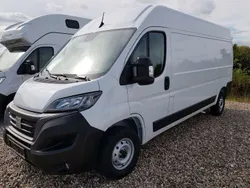 Weiß Gebraucht 2023 Fiat Ducato Easy Van | 31.490 € (Guter Preis)