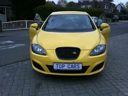 Gelb Gebraucht 2010 Seat Leon Basis Kleinwagen | 4.970 € (Etwas zu teuer)