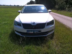 Weiß Gebraucht 2015 Skoda Superb Ambition Limousine | 15.000 € (Guter Preis)