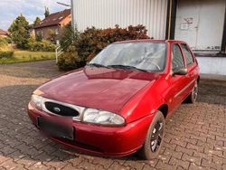 Rot Gebraucht 2000 Ford Fiesta Kleinwagen | 1.399 € (Etwas zu teuer)