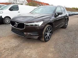 Braun Gebraucht 2020 Volvo XC60 Momentum SUV | 22.900 € (Fairer Preis)