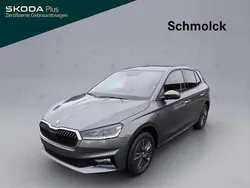 Grau Gebraucht 2024 Skoda Fabia Drive Kleinwagen | 17.390 € (Guter Preis)