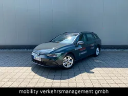 Grau Gebraucht 2023 VW Golf VIII Life Kombi | 35.949 €