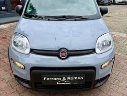 Grau Gebraucht 2023 Fiat Panda Kleinwagen | 10.499 € (Fairer Preis)