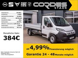 Weiss (pastell)) (weiss Neu 2025 Fiat Ducato Van | 36.500 € (Etwas zu teuer)