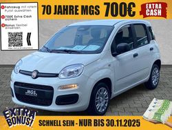 Gelato weiß Neu 2025 Fiat Panda Kleinwagen | 17.490 € (Fairer Preis)