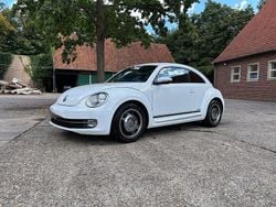 Weiß Gebraucht 2015 VW Beetle Cup Limousine | 12.800 € (Guter Preis)