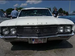 Blau Gebraucht 1964 Buick Skylark Kombi | 36.000 €