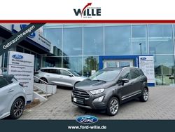 Grau Gebraucht 2020 Ford Ecosport Titanium SUV | 16.550 € (Etwas zu teuer)