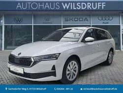 Moonweiß perleffekt Neu 2025 Skoda Octavia Selection Kombi | 32.890 € (Fairer Preis)