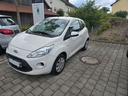 Weiß Gebraucht 2009 Ford Ka Trend Kleinwagen | 2.500 € (Guter Preis)
