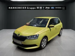 Grün Gebraucht 2021 Skoda Fabia Cool Plus Kleinwagen | 11.990 € (Guter Preis)