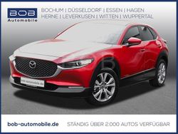 Rot Gebraucht 2022 Mazda CX-30 Selection SUV | 22.443 € (Fairer Preis)