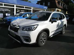 Crystal white pearl Gebraucht 2020 Subaru Forester Comfort SUV | 26.490 € (Guter Preis)