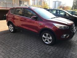 Rot Gebraucht 2019 Ford Kuga SUV | 13.500 € (Superpreis)